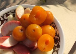Yellow Cyprus Plums